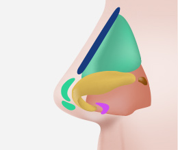 procedures03