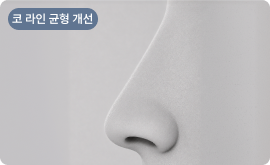 코 라인 균형 및 비율 개선