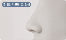 유니크 라인핏 코 완성